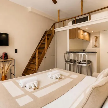 Renovated With Mezzanine In Le Marais *